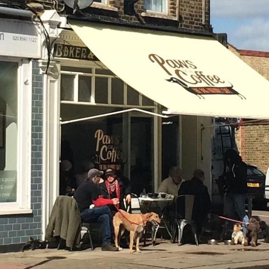paws-for-coffee.jpg